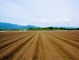 市街化調整区域